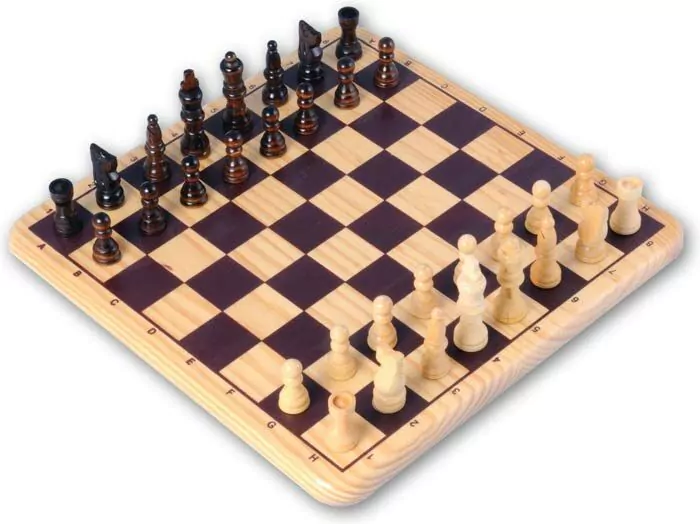 ik lees een boek Dubbelzinnigheid koepel Houten schaakspel kopen